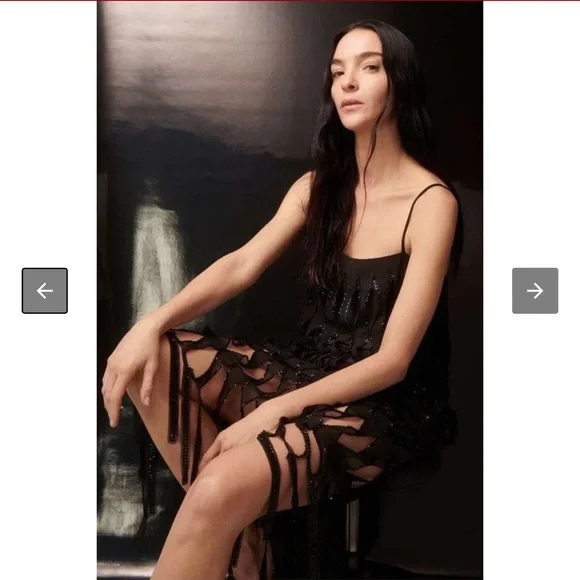 NWT Zara Sequin Beaded Fringe Dress - Picture 3 of 16